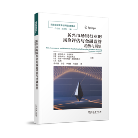 新兴市场银行业的风险评估与金融监管(国家金融安全与风险治理译丛)