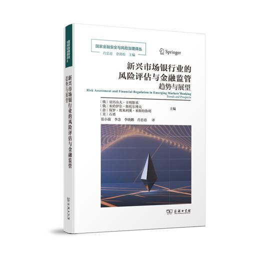 新兴市场银行业的风险评估与金融监管(国家金融安全与风险治理译丛) 商品图0