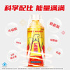 东鹏特饮有奖版 维生素功能饮料 500ml*24瓶/箱 提神抗疲劳熬夜加班 商品缩略图2