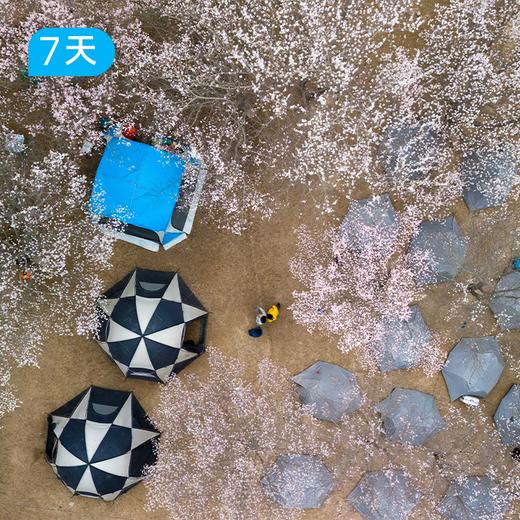 越野南疆杏花徒步 | 公格尔九别峰大同乡双露营+慕士塔格冰川徒步 7日 商品图3