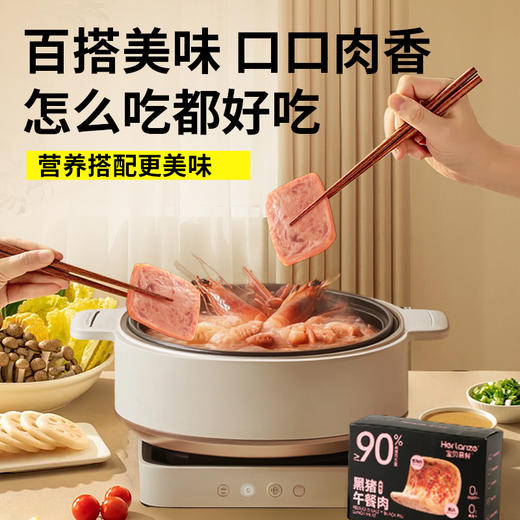 Herlanze宝贝易餐 减钠*黑猪午餐肉240克（40克*6） 商品图12