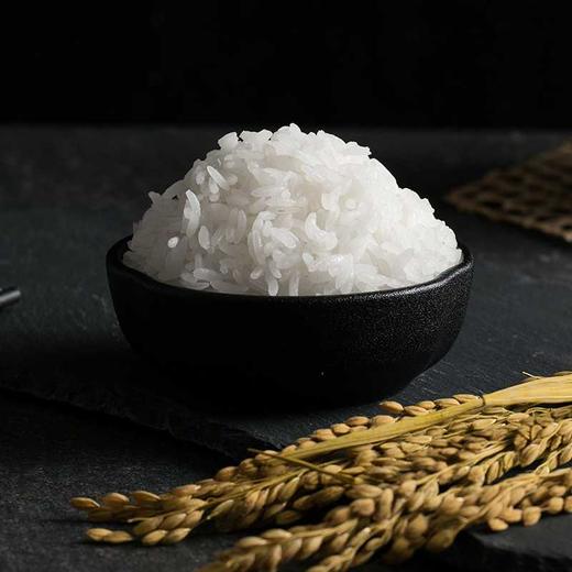 深粮多喜 常香稻五常大米2.5kg 商品图3