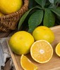 甜橘柚 商品缩略图0