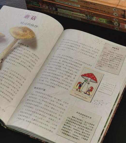 【特惠】植物文化丛书8种，16开，精装，铜版彩印，[法] 塞尔日·沙著，三联书店2018年左右一版一印，8册总定价605元，售价175元 商品图6