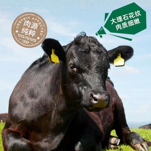 宝贝易餐牛肉多多安格斯牛肉午餐肉200g（25g*8） 商品图5