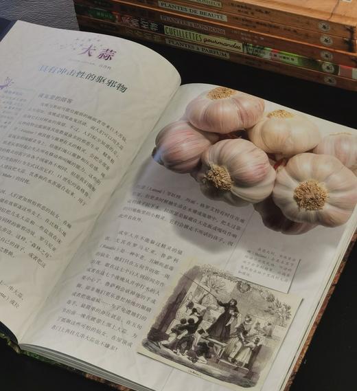 【特惠】植物文化丛书8种，16开，精装，铜版彩印，[法] 塞尔日·沙著，三联书店2018年左右一版一印，8册总定价605元，售价175元 商品图5