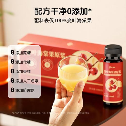 【鲜榨真原浆】好蔬源 变叶海棠果原浆 60ml*10瓶/盒 不加一滴水 商品图4