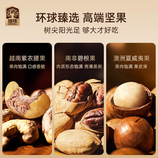 臻味年货高端坚果礼盒送长辈干果炒货新年大礼包 商品图2