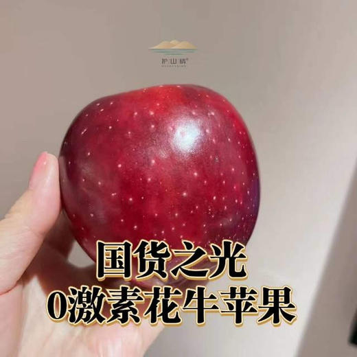 （直降10元）护山花牛苹果·坚持品质第11年·捍卫每一颗树熟的健康果‼️树上完熟/不拉长0农残 商品图4