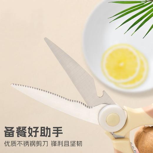厨房多功能剪刀  家用不锈钢鸡骨剪子杀鱼烤肉全钢3.264 商品图2