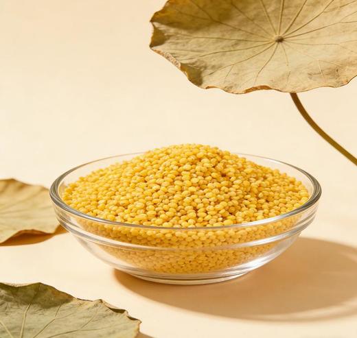 【自营】内蒙古巴林右旗黄小米2.5kg*1袋 商品图2