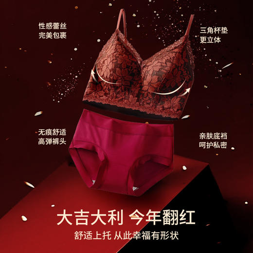 A1-【A-C全罩杯】润微红运套装法式性感蕾丝款  花蕾卿卿/花满月朦 商品图2