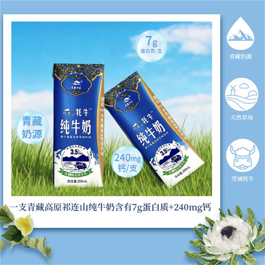 青藏祁莲祁连山牧场 牦牛奶≥30% 200ml*12支 新年送礼礼盒 商品图4