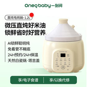 一刻间微压电炖锅小型宝宝专用米油辅食锅YKJ023