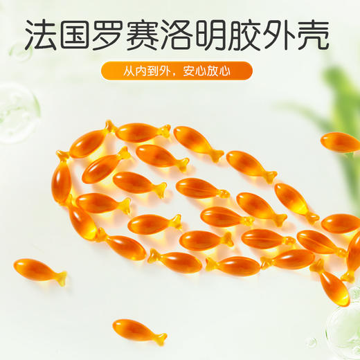 【2盒399】合兰仕智卓星DHA藻油凝胶糖果25.8g(430mg/粒x60粒) 商品图4