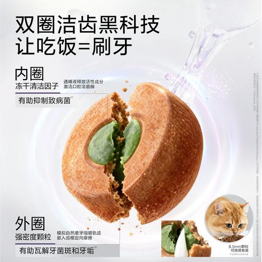 【卫仕仙气魔方主粮】双圈洁齿黑科技解决口腔护理猫粮1.5kg 商品图3