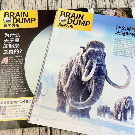 【丹妈专享】万物杂志（1年共12期）（杂志订阅）2026年1月起订 商品图5