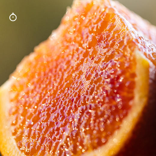 企鹅市集|重庆长寿湖血橙 
 饱满多汁 馥郁玫瑰香气 【限时任意规格加赠半斤】 商品图4