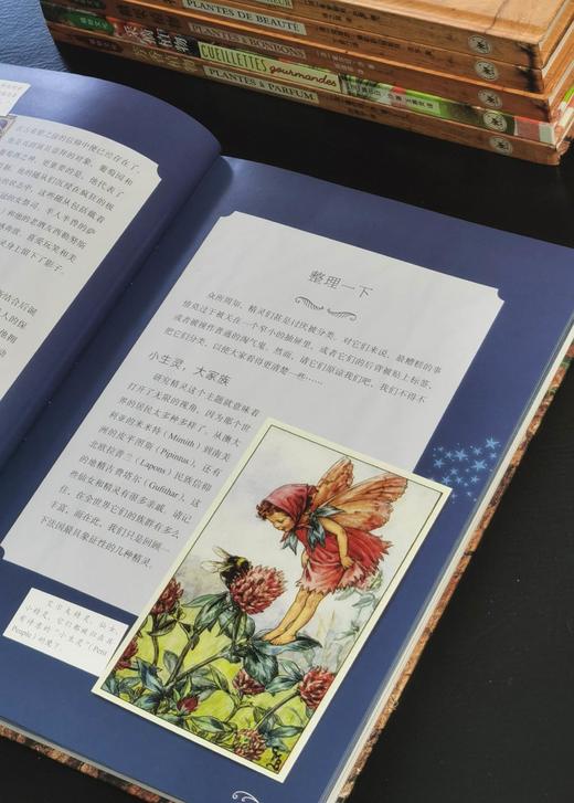 【特惠】植物文化丛书8种，16开，精装，铜版彩印，[法] 塞尔日·沙著，三联书店2018年左右一版一印，8册总定价605元，售价175元 商品图3