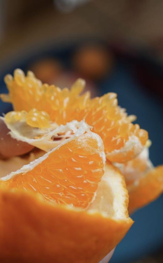 【春见耙耙柑】春节礼盒 -HN 商品图2