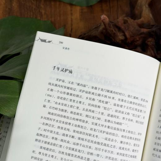安溪传：这片土地上的人、祖先和信仰 商品图2