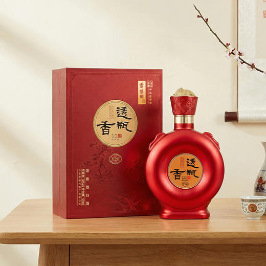 景阳冈38度透瓶香V20【2026新春好品】 商品图0