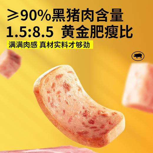 Herlanze宝贝易餐 减钠*黑猪午餐肉240克（40克*6） 商品图5