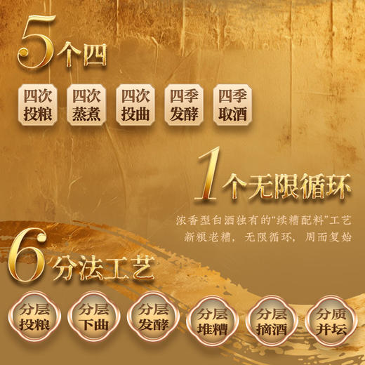 【扫码有好礼】52度国窖1573酒经典礼盒装（五码装）516ml*2 泸州老窖官方旗舰店 商品图2