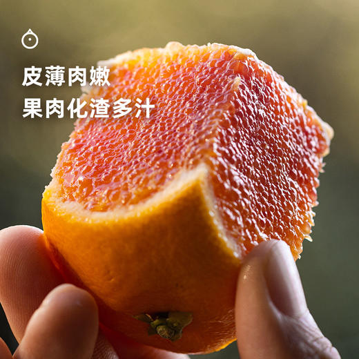 企鹅市集|重庆长寿湖血橙 
 饱满多汁 馥郁玫瑰香气 【限时任意规格加赠半斤】 商品图1