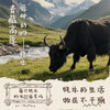 天境雪域祁连山牧场 牦牛奶含量30%  200ml*10支 商品缩略图3