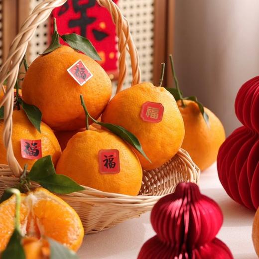 正宗眉山自然熟春见耙耙柑  果大皮薄肉质脆嫩 商品图2