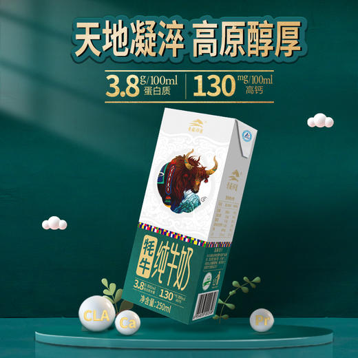 【莲续订30箱】青藏祁莲 祁连山牧场 牦牛奶含量80% 一次下单分期发货 商品图1