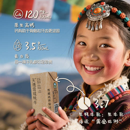 天境雪域祁连山牧场 牦牛奶含量30%  200ml*10支 商品图1