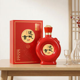 景阳冈38度透瓶香V10【2026新春好品】