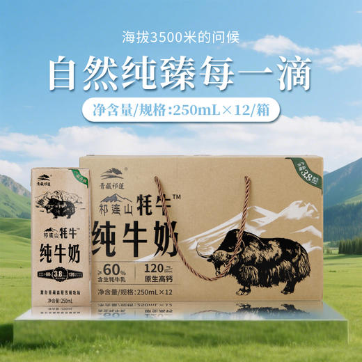 青藏祁莲祁连山牧场 牦牛奶含量≥60% 250ml*12盒*2箱 商品图1