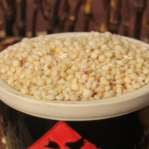 半亩川 粥料礼盒 红米燕麦米高粱玉米糁麦仁大米 商品图3