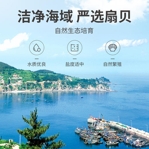 干贝200g/瓶装 商品图8