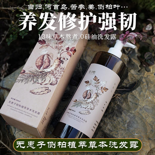 洗护养三合一，悦木花 中草药洗发水+迷迭香姜艾植萃精油洗发露，两款可选；蓬松清爽，无需护发素，细软扁塌发质救星 采用多种植物萃取，洗发水洗发露 商品图1