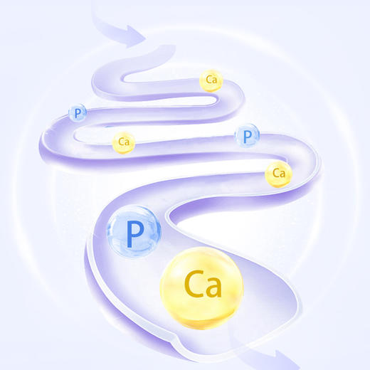 宝贝易餐婴幼儿苹果酸奶果泥\蓝莓酸奶果泥\桃子酸奶果泥85g 商品图5
