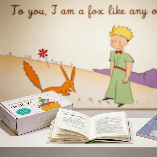 《小王子（银河刷边版）（快递箱版）》 商品图3