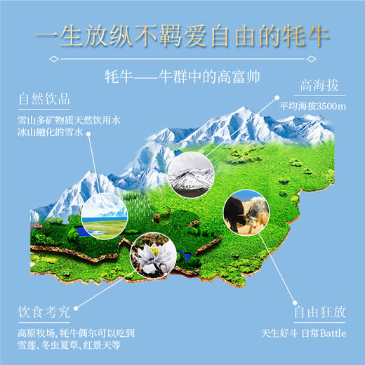 青藏祁莲祁连山牧场 牦牛奶≥30% 200ml*12支 新年送礼礼盒 商品图3