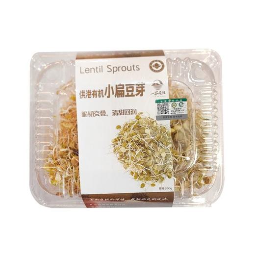 一茹景往 有机小扁豆芽 200g/盒 商品图0
