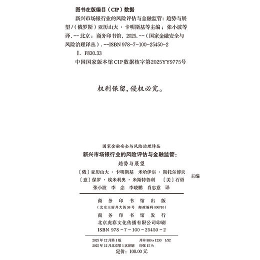 新兴市场银行业的风险评估与金融监管(国家金融安全与风险治理译丛) 商品图1