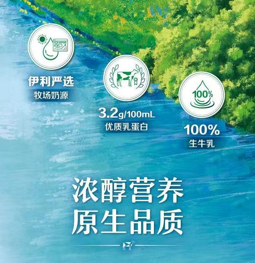 【伊利伊然纯牛奶】伊利品牌 国民好奶 口感纯正 5箱 商品图2