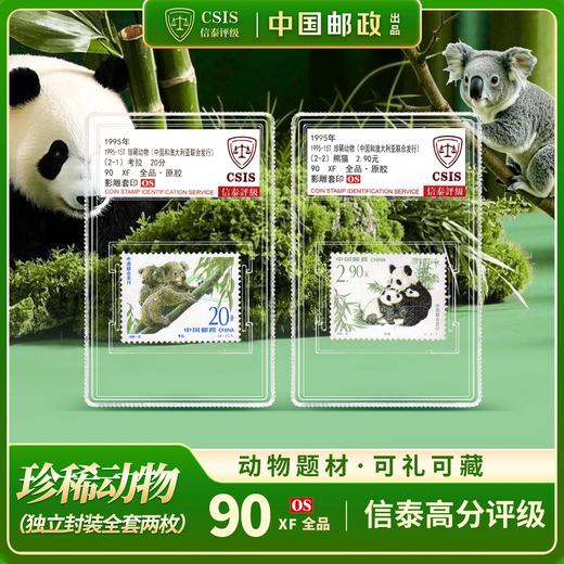 【中国邮政】1995年大熊猫邮票考拉邮票两枚小盒封装版（信泰评级） 商品图0