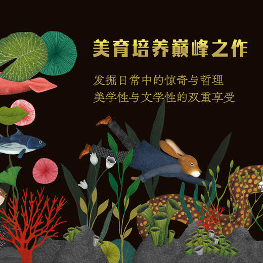 寻找答案的兔子先生 商品图2