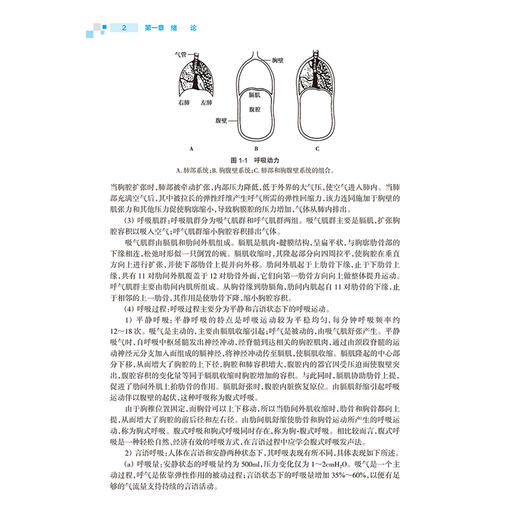 康复治疗师临床工作指南 嗓音障碍康复治疗技术 第2二版 万勤 徐文 系统介绍嗓音障碍的处理原则和康复方法等内容 人民卫生出版社 商品图4