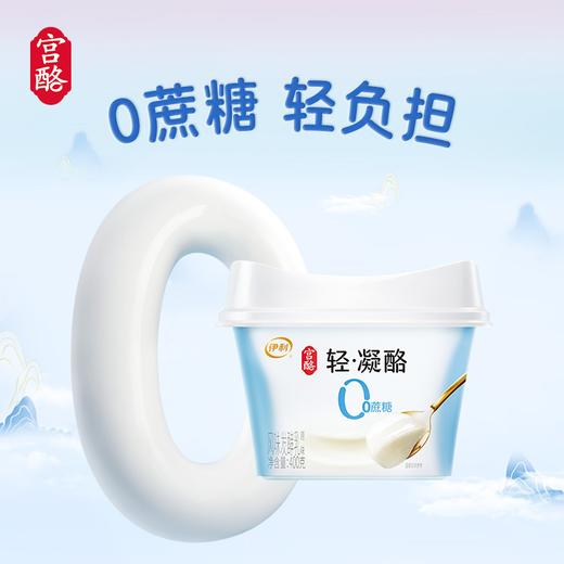 伊利400g原味宫酪轻凝酪酸奶 商品图2