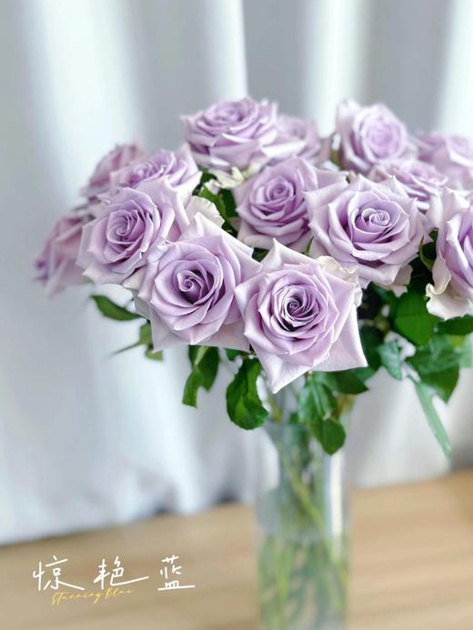 【AB级惊艳蓝玫瑰.第二份减10元】10支/份 长约60-65cm 商品图2