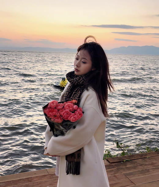 YP79-芬迪老花FF字母款(DSX) 商品图2